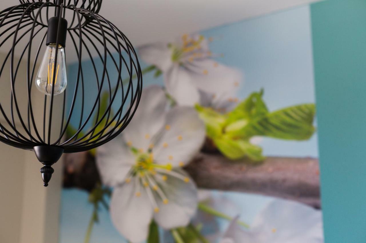 Chania Elite Homes Ii-Apartment Near Venizelos Tombs Monument エクステリア 写真